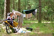 Camping in a pine plantation about 100km south of Christchurch. Yes, I am drying my washing, I stopped at a river and did some washing.